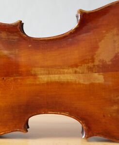 Old Vintage Violin 4 4 Geige Viola Cello Fiddle Label Pietro Pallotta Nr 1714