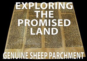 Torah Bible Scroll Vellum Manuscript Fragment 350 Yrs Italy Numbers 12 12 14 42