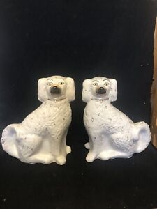 Or 12 1 2 Staffordshire Spaniel Dogs