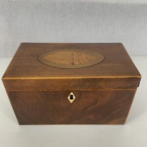 Antique Regency Mahogany Shell Inlaid Tea Caddy Converted To Jewellery Box