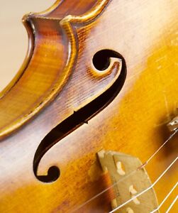 Nice Vintage Violin 4 4 Geige Viola Cello Fiddle Lab Stefano Scarampella Nr 258