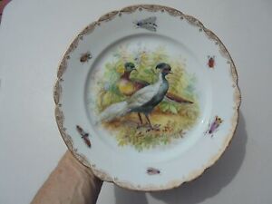 Vintage Richard Klemm Dresden Porcelain Hp Pheasant Game Bird Insects Plate 10 