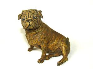 Large Austrian Cold Painted Bronze Pug Dog C1900 Unmarked Franz Bergman 2nd