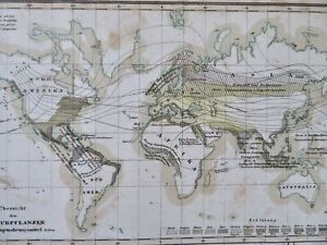 World Crops Sugar Coffee Tea Vanilla Cocoa Pepper C 1849 Detailed Meyer Map