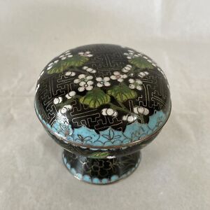 Rare 3 Inches Wide High Footed Antique Chinese Cloisonne Plum Bloom Box