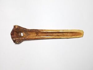 Cassowary Bone Dagger Antique Papua New Guinea Sepik River Headhunters