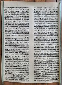 Torah Scroll Fragment Manuscript On Vellum Antique Bible 12 X 16 
