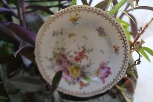 Antique 19th Century Hand Painted Porcelain Plate Dresden