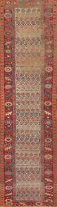 Pre 1900 Antique Bidjar Paisley Runner Rug 3x14 Ivory Wool Hand Knotted Carpet