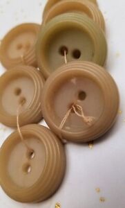Gorgeous Set Of 7 Antique Vegetable Ivory Buttons 2 Hole Flat Light Tan Shades