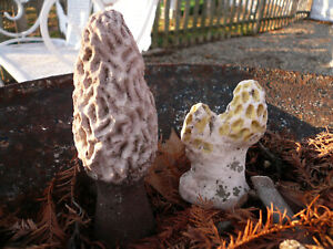Small Pink Vintage Cement Concrete Morels Perfect Size For Large Planters