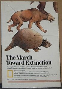 Vintage 1989 National Geographic Insert The March Towards Extinction