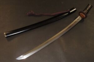 Wakizashi Sword W Koshirae Edo 24 6 17 9 670g