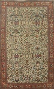 Pre 1900 Ivory Sarouk Farahan Antique Rug Vegetable Dye Handmade Carpet 10 X17 