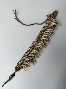A Superb Rare Old Papua New Guinea Dog Teeth Arm Band Tribal Art Body Ornament