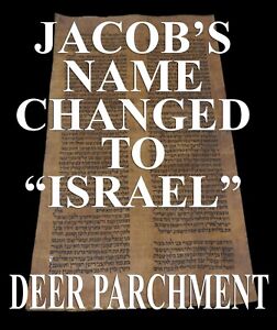 Rare Torah Bible Deer Parchment Manuscript 400 Yrs Yemen Genesis 34 31 36 27