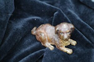 Cold Painted Franz Bergman Vienna Bronze Puppy 7 5 Cm Marked Geschultz
