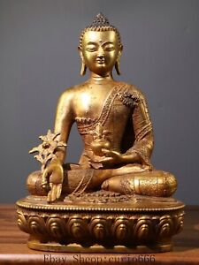 12 Old Tibet Bronze Gilt Sit Menla Medicine Medical Pot God Buddha Statue
