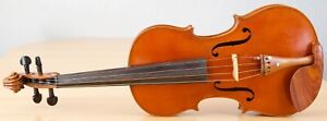 Old Viola Bratsche Violin Cello Geige Fiddle Label Vincentius Postiglione Nr 201