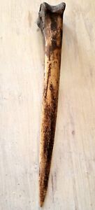 Antique Cassowary Bone Dagger Abelam People Papua New Guinea