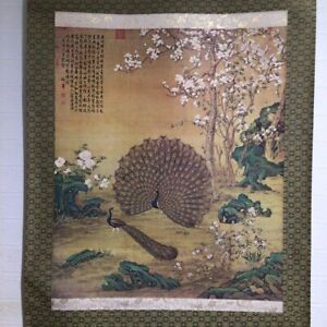 Japanese Hanging Scroll Peafowls Flower Painting W Box Asian Antique Pr4
