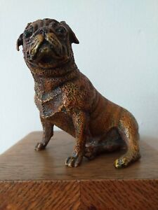 Antique Austrian Cold Painted Cast Bronze Sitting Pug Dog With Bergman Mark 8412