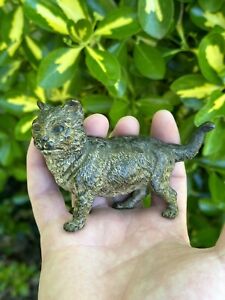 Important Bronze Vienna Cat Polychrome Xix 