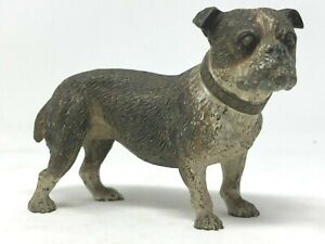 Important Bronze Vienna Polychrome Bulldog Xix Th Century Austria Dog