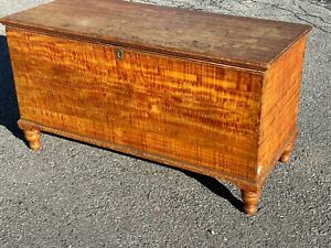 Outstanding Paint Decorated Tiger Maple Blanket Chest Pa 1840 Dovetailed Trunk