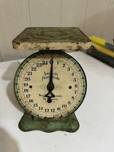 Antique American Family 25 Lb Green Rustic Farmhouse Metal Family Kitchen Scale