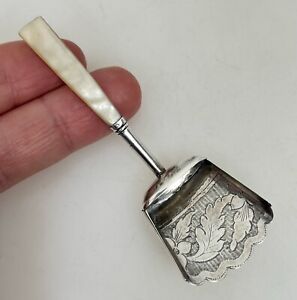 1818 Georgian Shovel Shaped Mother Of Pearl Mop Sterling Silver Tea Caddy Spoon