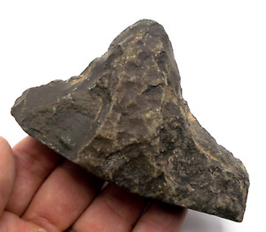 Paleolithic Early Human Chopper Acheulian Stone Age Chopping Tool Ref Aw5 Ch1