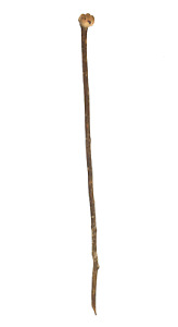 Zulu Knobkerrie Carved Wood Walking Stick Dori Collection