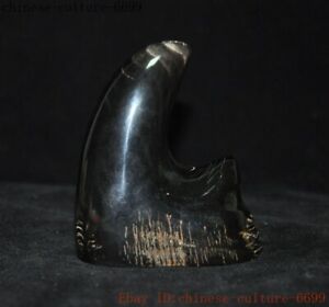 3 6 Collect Rare Chinese Old Ox Horn Horns Hand Carved Oxhorn Oxhorns Statue