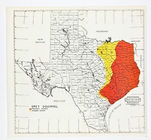 1945 Texas Map Original Grey Squirrel Range Game Fish Commission