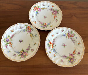 Antique Hand Painted Rk Dresden Germany Plates Circa 1890 3 Pcs