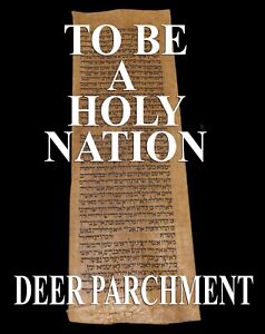 Torah Scroll Bible Vellum Manuscript Leaf 300 Yrs Morocco Leviticus 20 20 21 13
