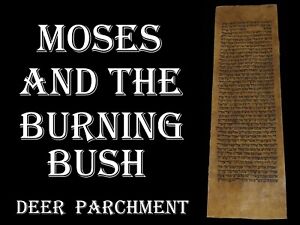 Torah Bible Vellum Manuscript Fragment Leaf 300 Yrs Morocco The Burning Bush 
