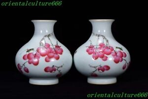 5 Enamel Porcelain Fruit Lychee Portrait Zun Cup Bottle Pot Vase Jar Statue Pair