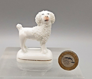 Antique English Porcelain Staffordshire Figure Of A Dog Poodle C1835
