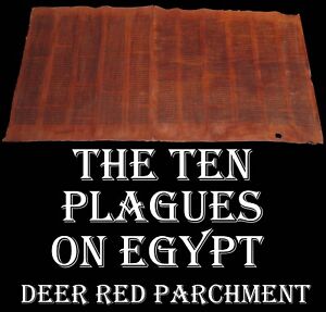 Torah Scroll Bible Vellum Manuscript Fragment 250 Yrs Yemen The Plagues On Egypt
