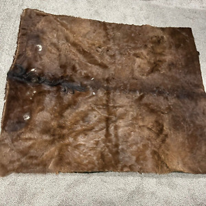 Antique Horsehide Blanket W Mane Carriage Sleigh Lap Wool Horse Hair Buggy 58x68
