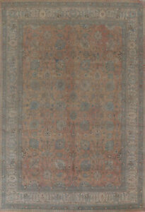 Distressed Traditional Living Room Area Rug 9x12 All Over Pattern Carpet