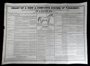 1833 Clater Horses Veterinary Medicine Diseases Farming Chart Equestrian Rare