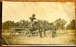 Antique Photo Postcard Wooden Wagon With Horses Original Photograph Picture