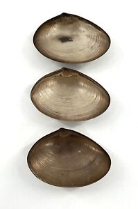 Lot Of 3 Vintage Wallace 4020 Sterling Silver Oyster Clam Shell Salt Nut Dish