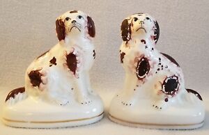 19th Century Pair Staffordshire Spaniels Dogs Seated On Oval Bases 4 3 4 High