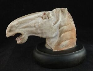 Ancient Chinese Han Dyn 206 Bc 220 Ad Pottery Horse Head 6 X 3 