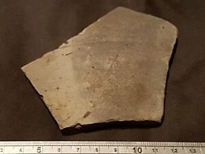 Rare Roman Marked Greyware Large Shard With Cross Mark From East Yorkshire L41c