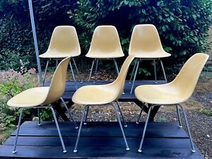 Vintage Yellow Molded Fiberglass Eames Shell Chairs For Herman Miller Set Of 6